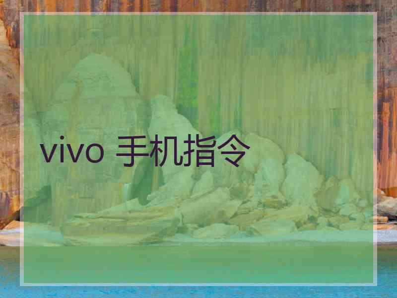 vivo 手机指令