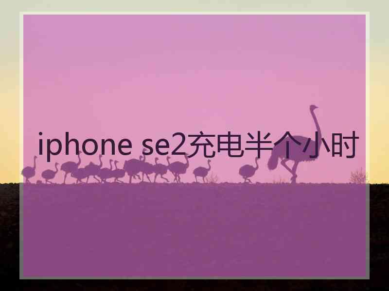 iphone se2充电半个小时