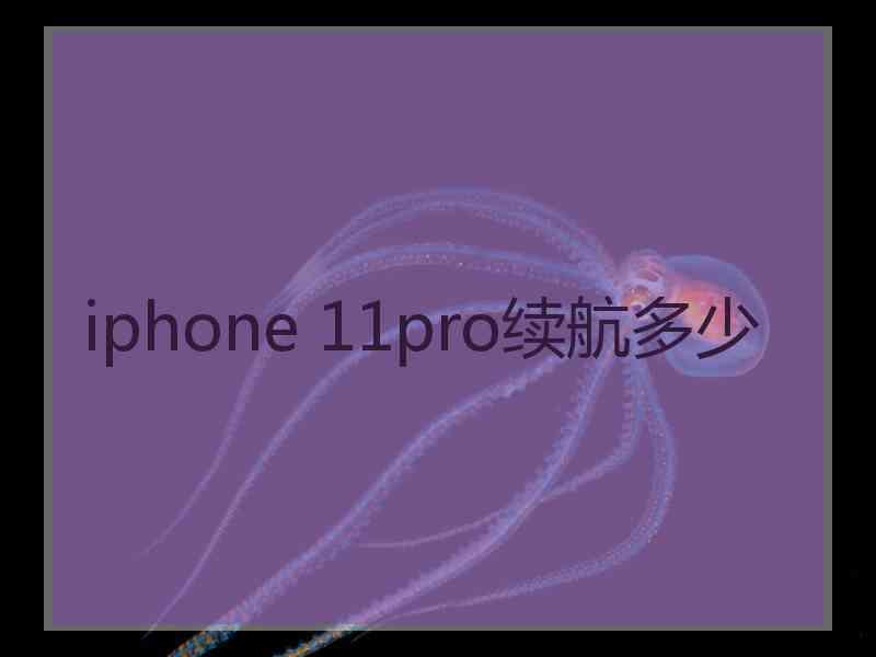 iphone 11pro续航多少