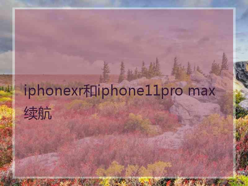 iphonexr和iphone11pro max续航