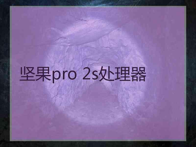 坚果pro 2s处理器