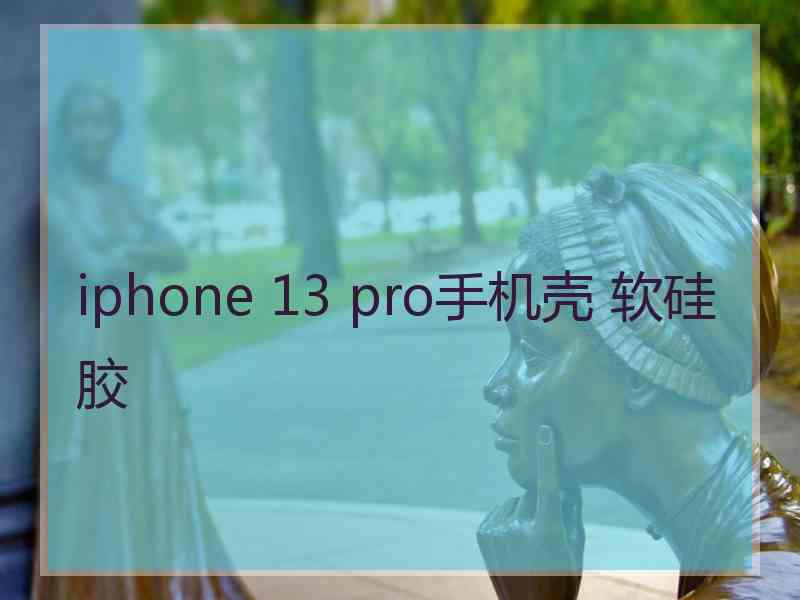 iphone 13 pro手机壳 软硅胶