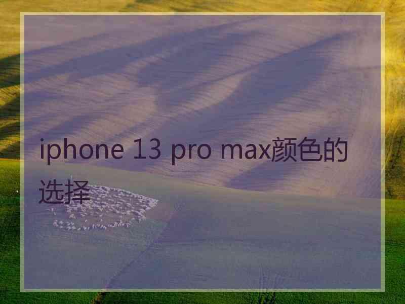 iphone 13 pro max颜色的选择