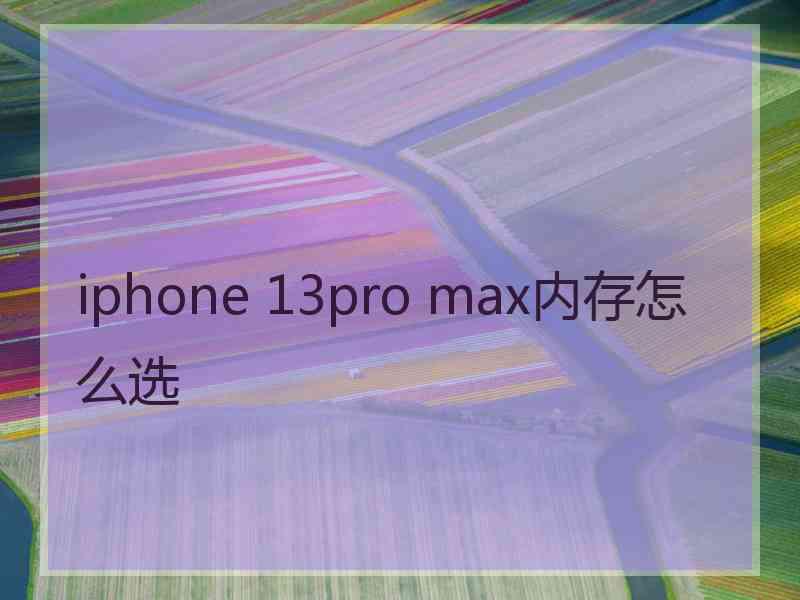 iphone 13pro max内存怎么选