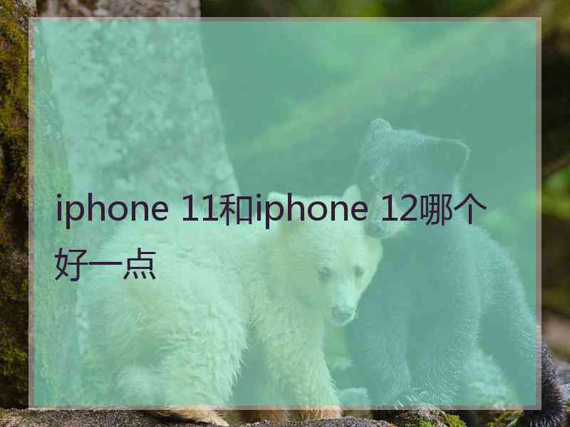 iphone 11和iphone 12哪个好一点