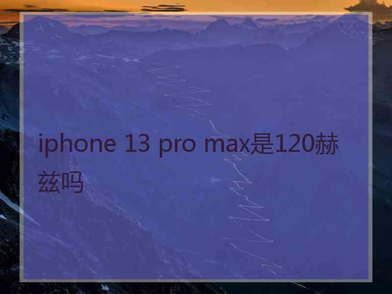 iphone 13 pro max是120赫兹吗