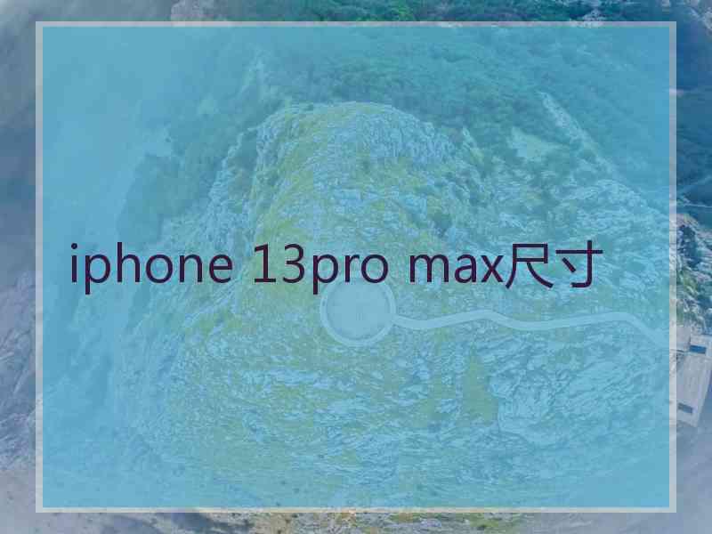 iphone 13pro max尺寸