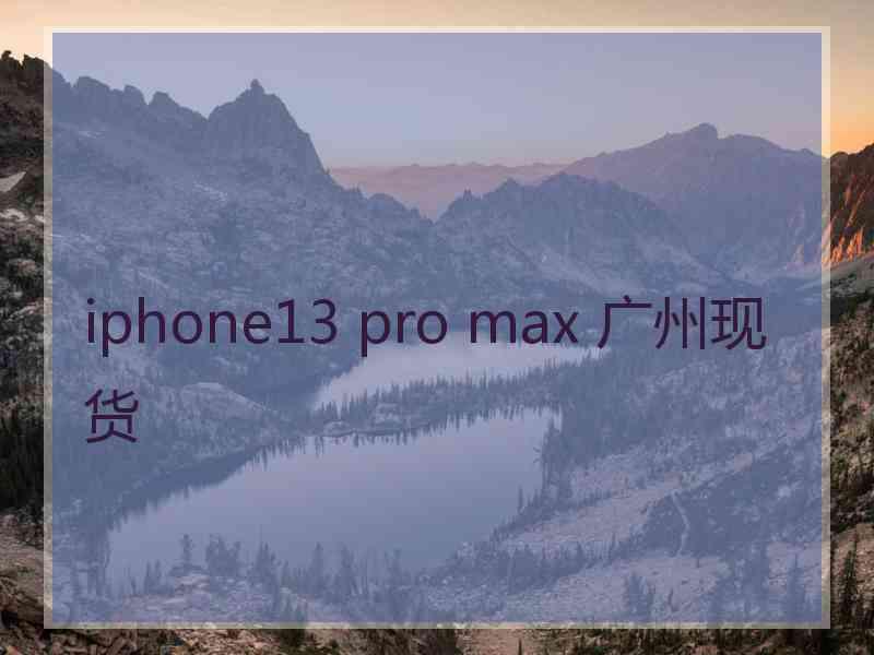 iphone13 pro max 广州现货