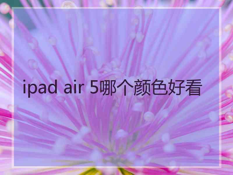 ipad air 5哪个颜色好看