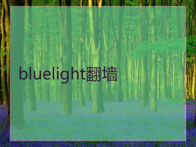 bluelight翻墙