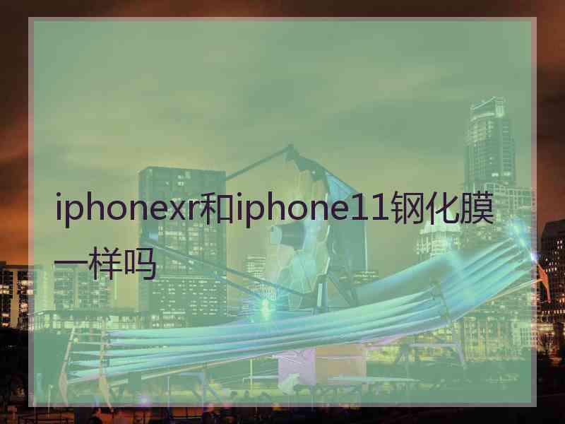 iphonexr和iphone11钢化膜一样吗