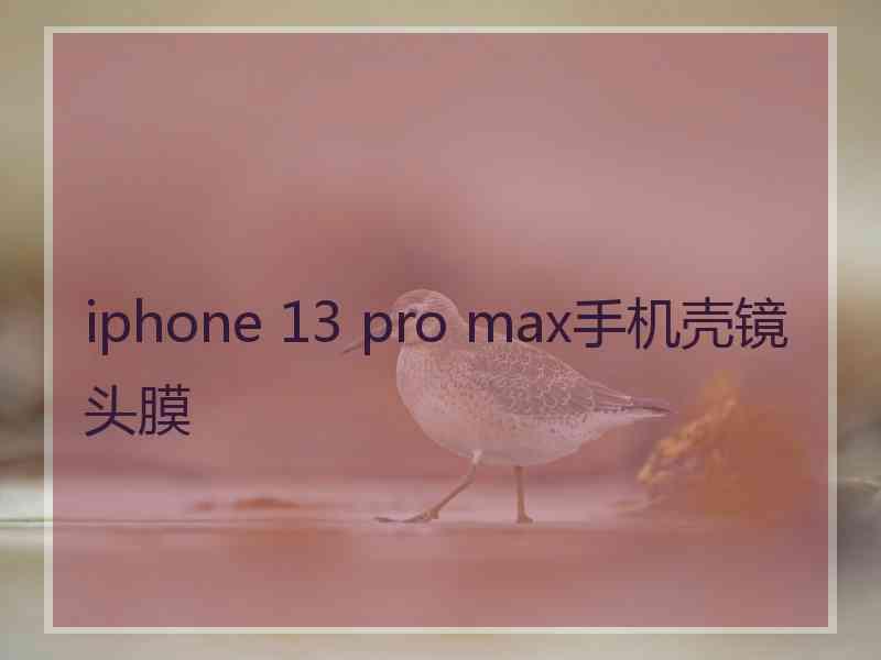 iphone 13 pro max手机壳镜头膜