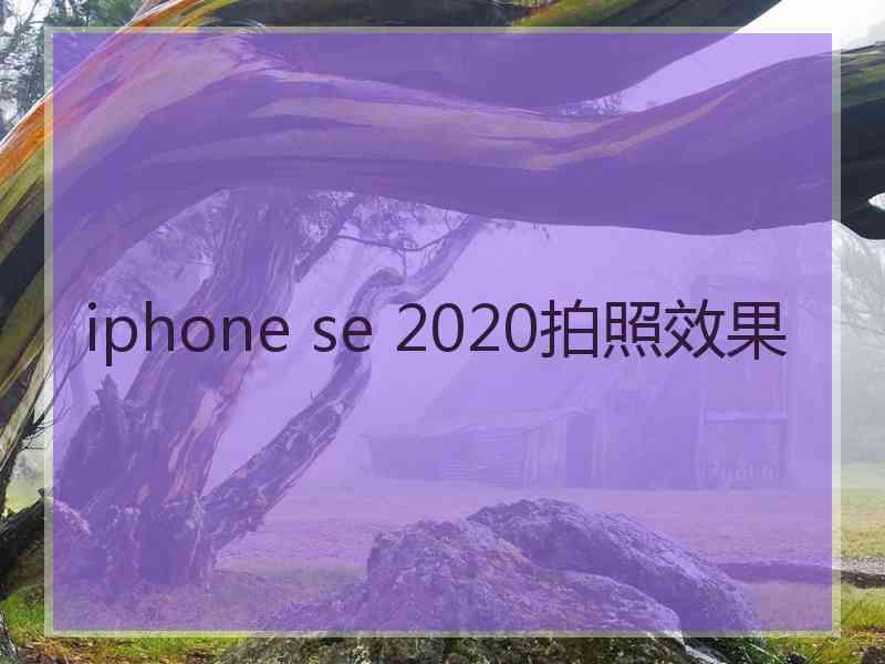 iphone se 2020拍照效果