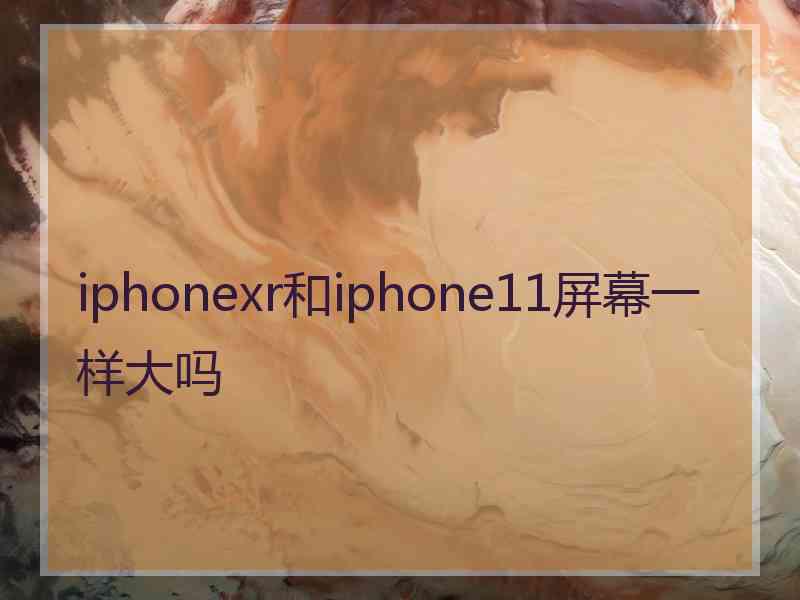 iphonexr和iphone11屏幕一样大吗