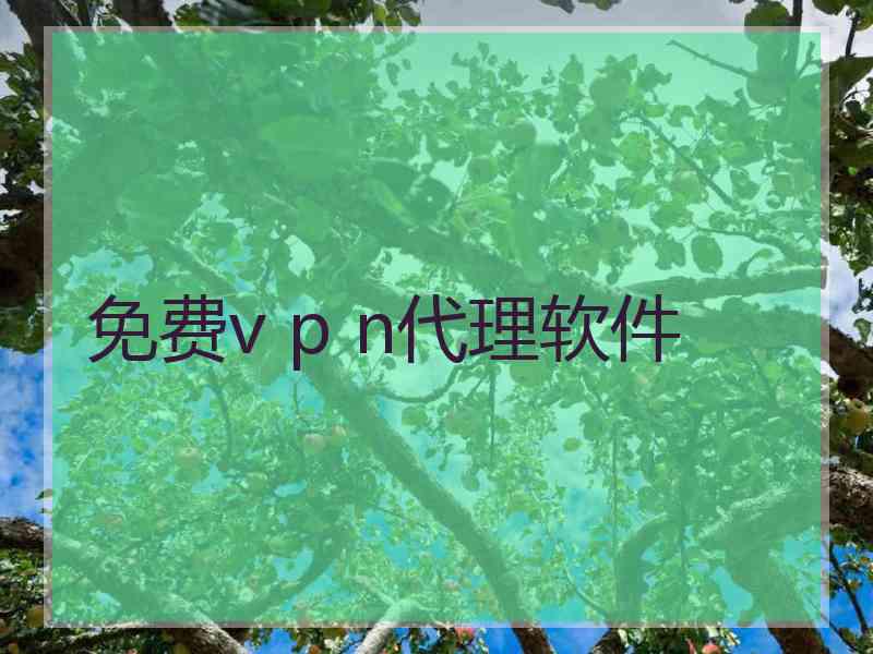 免费v p n代理软件