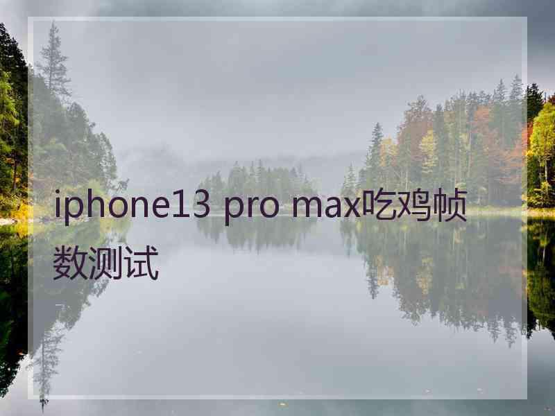 iphone13 pro max吃鸡帧数测试