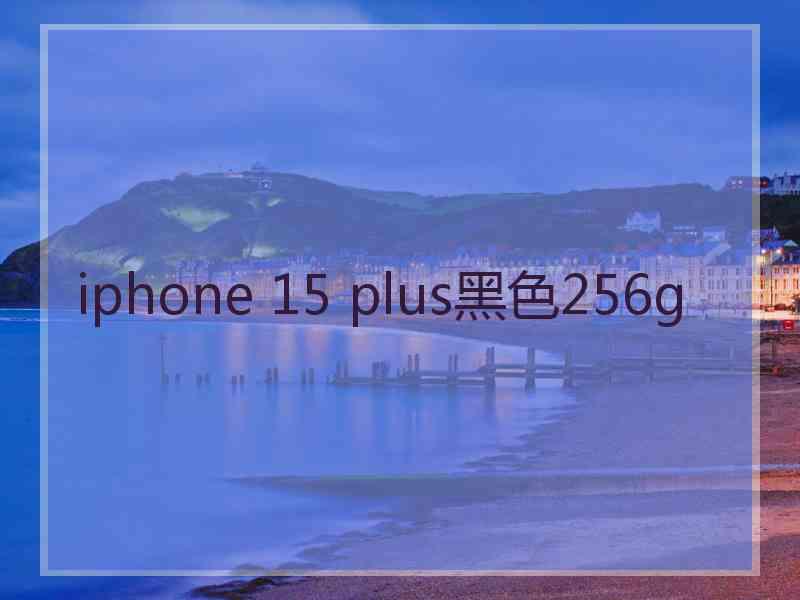 iphone 15 plus黑色256g