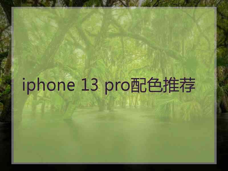 iphone 13 pro配色推荐