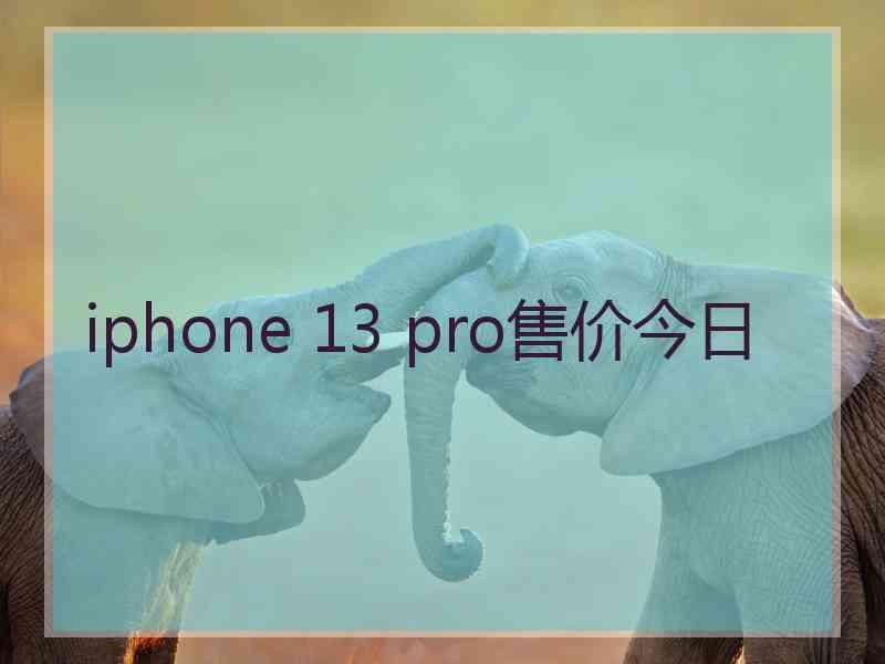 iphone 13 pro售价今日