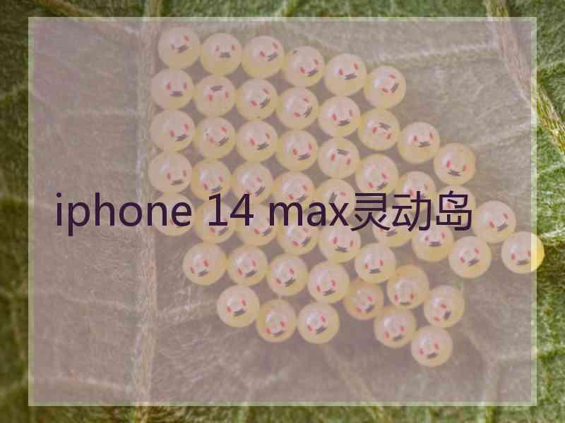 iphone 14 max灵动岛