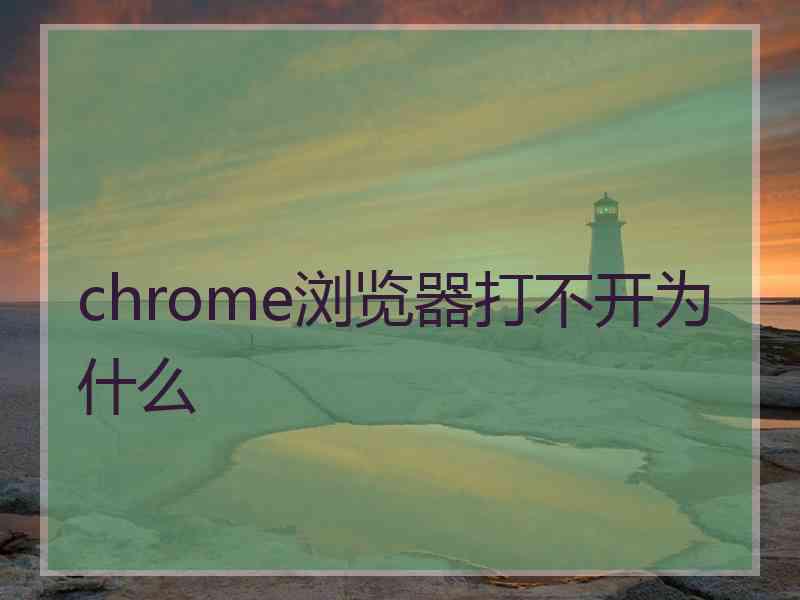 chrome浏览器打不开为什么