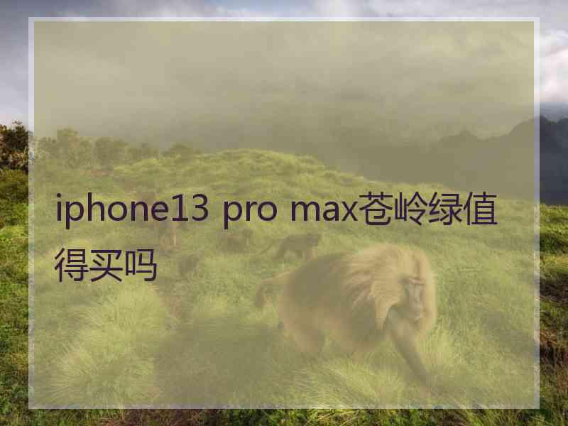 iphone13 pro max苍岭绿值得买吗