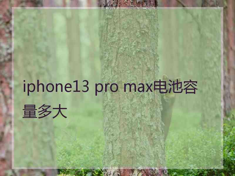 iphone13 pro max电池容量多大