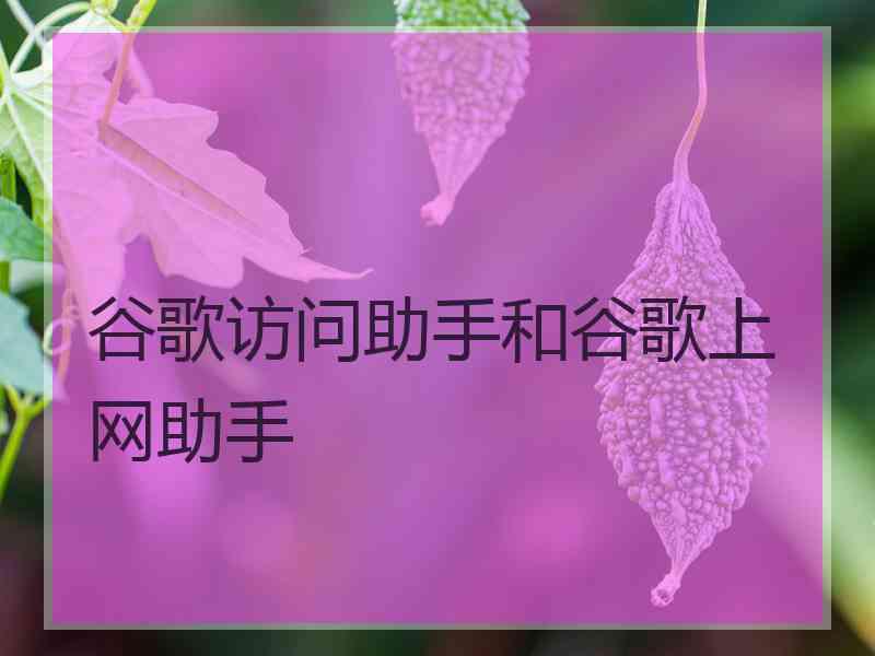 谷歌访问助手和谷歌上网助手