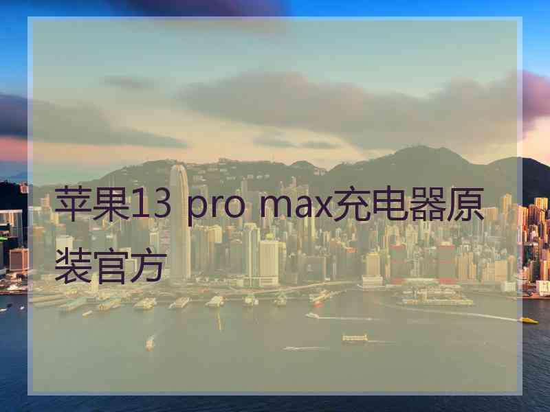 苹果13 pro max充电器原装官方