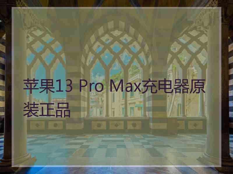 苹果13 Pro Max充电器原装正品