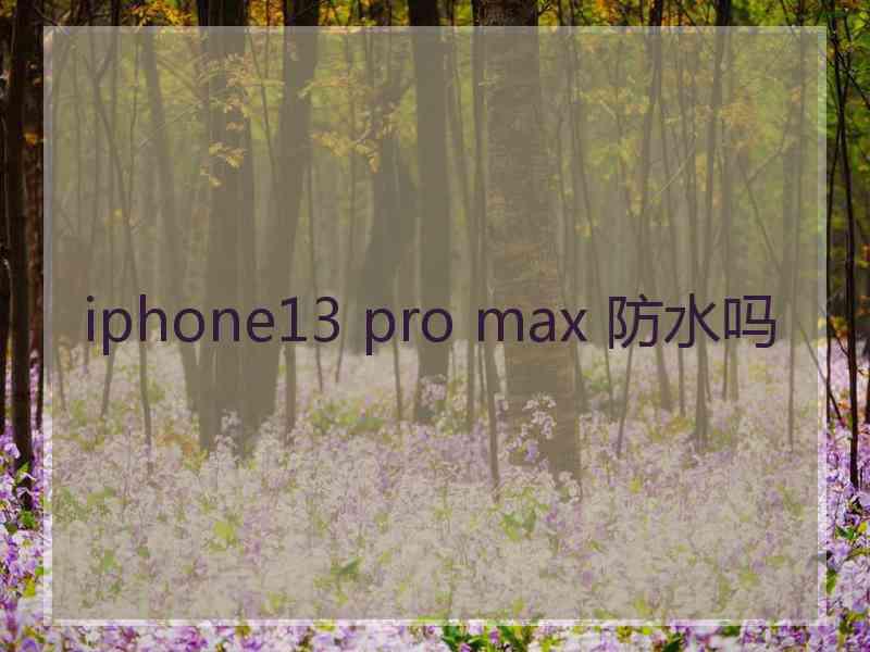 iphone13 pro max 防水吗