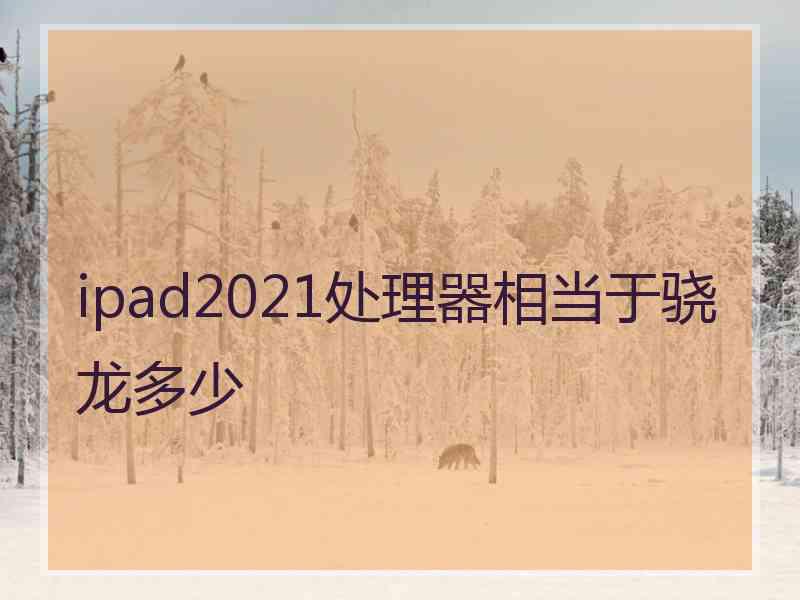 ipad2021处理器相当于骁龙多少