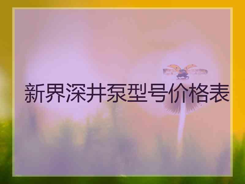 新界深井泵型号价格表