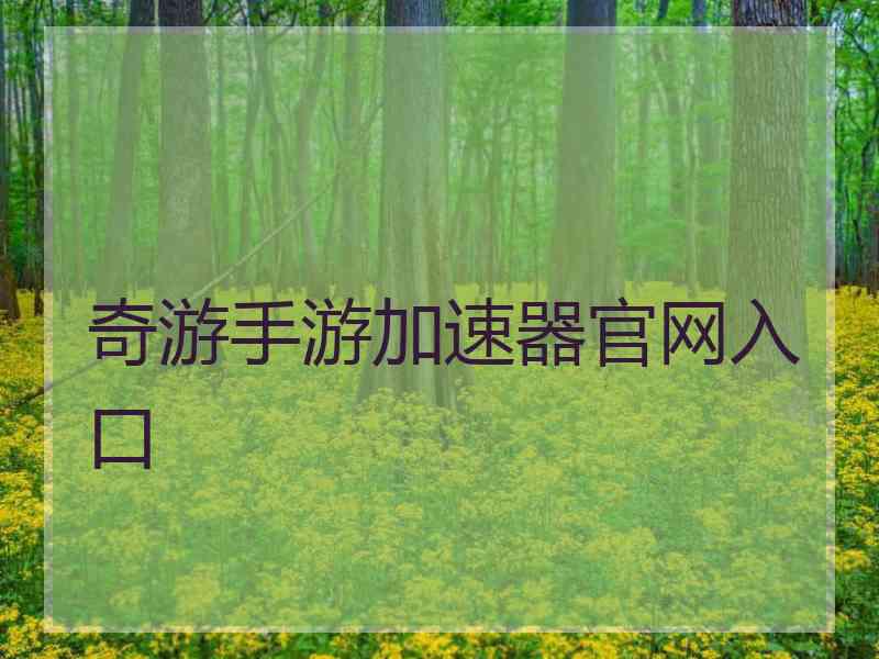 奇游手游加速器官网入口