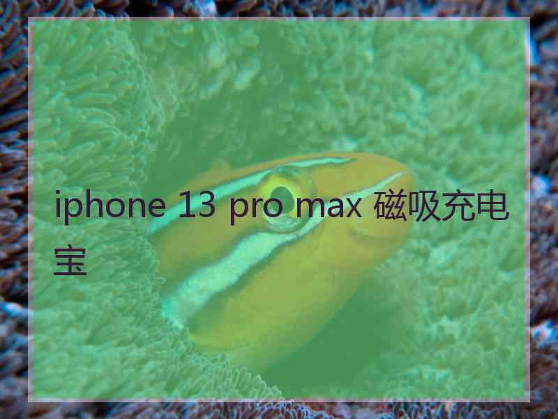 iphone 13 pro max 磁吸充电宝