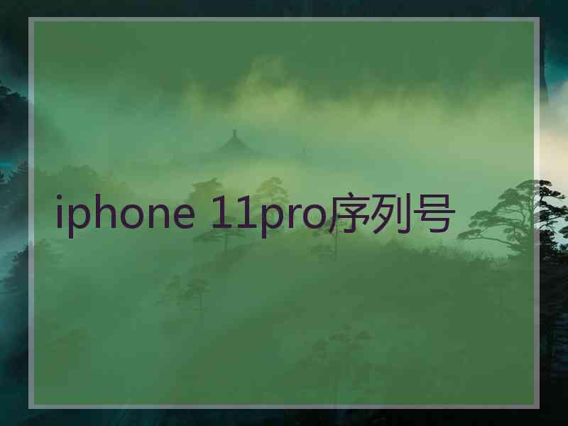 iphone 11pro序列号