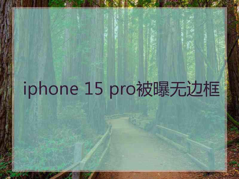 iphone 15 pro被曝无边框