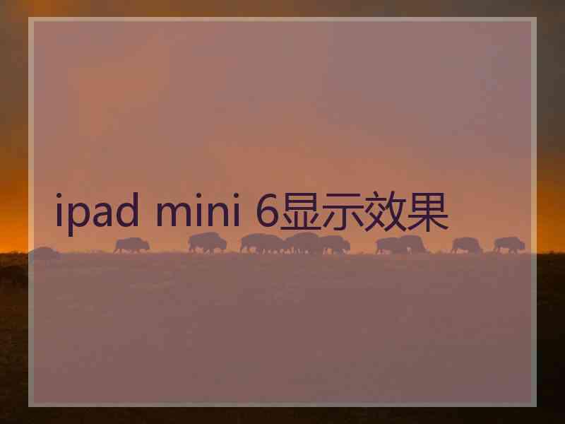 ipad mini 6显示效果