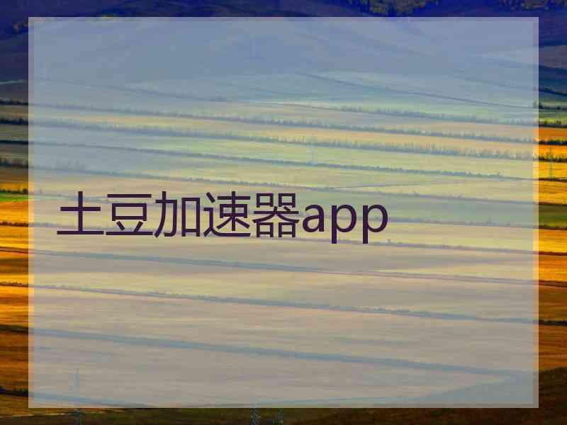 土豆加速器app