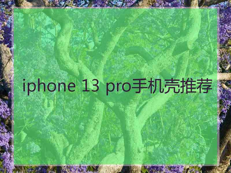 iphone 13 pro手机壳推荐