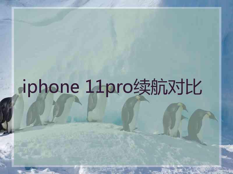 iphone 11pro续航对比