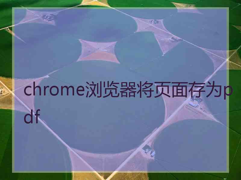 chrome浏览器将页面存为pdf