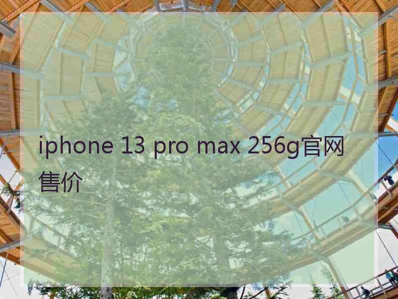 iphone 13 pro max 256g官网售价