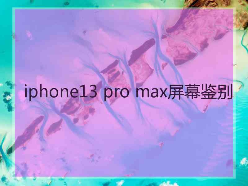 iphone13 pro max屏幕鉴别