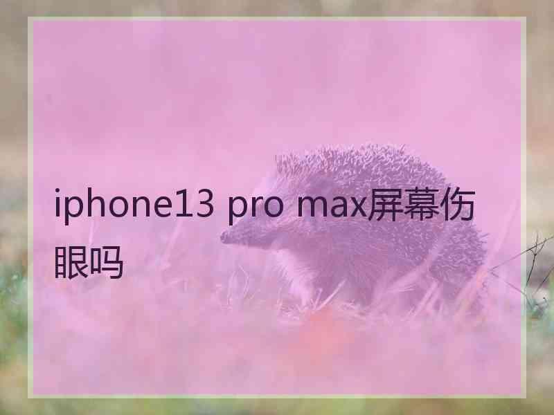 iphone13 pro max屏幕伤眼吗