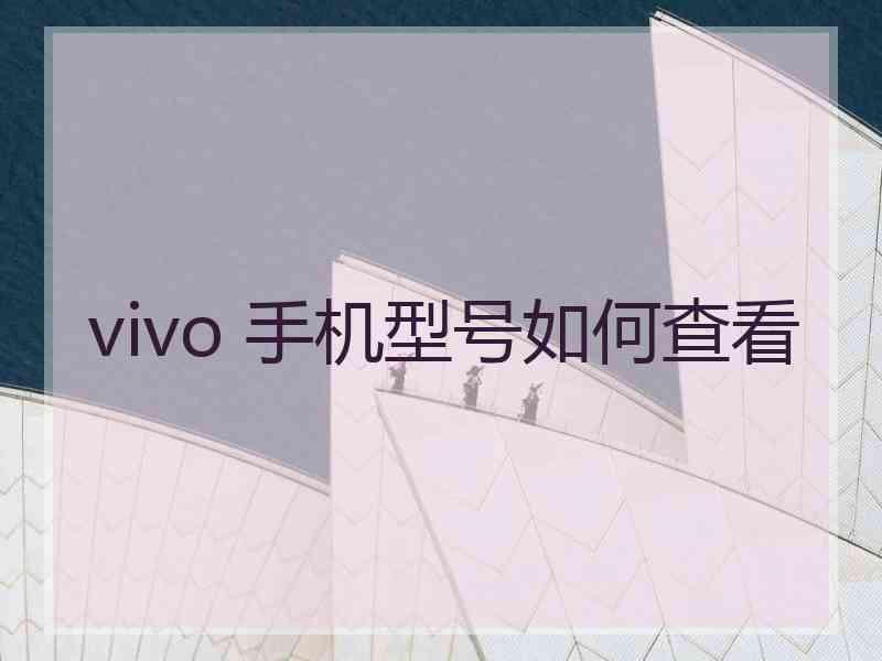 vivo 手机型号如何查看