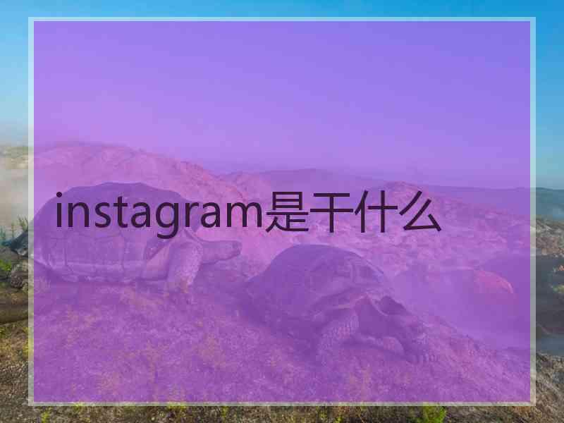 instagram是干什么