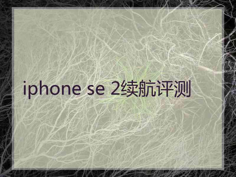 iphone se 2续航评测