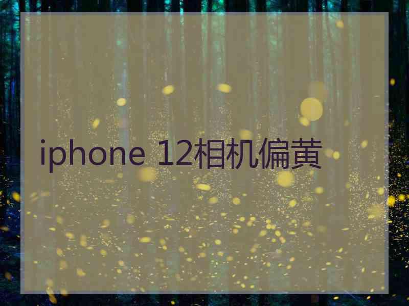 iphone 12相机偏黄