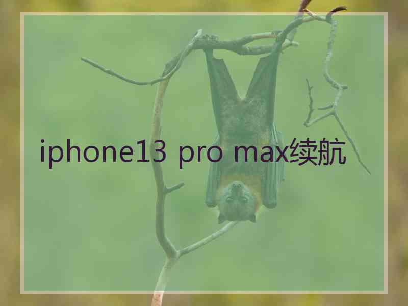 iphone13 pro max续航